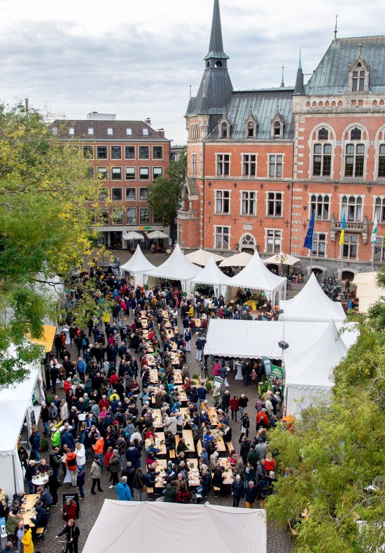 Auf dem Oldenburger Rathausmarkt sind zu hallo Grünkohl viele Stände und lange Sitzreihen zum Essen aufgebaut.