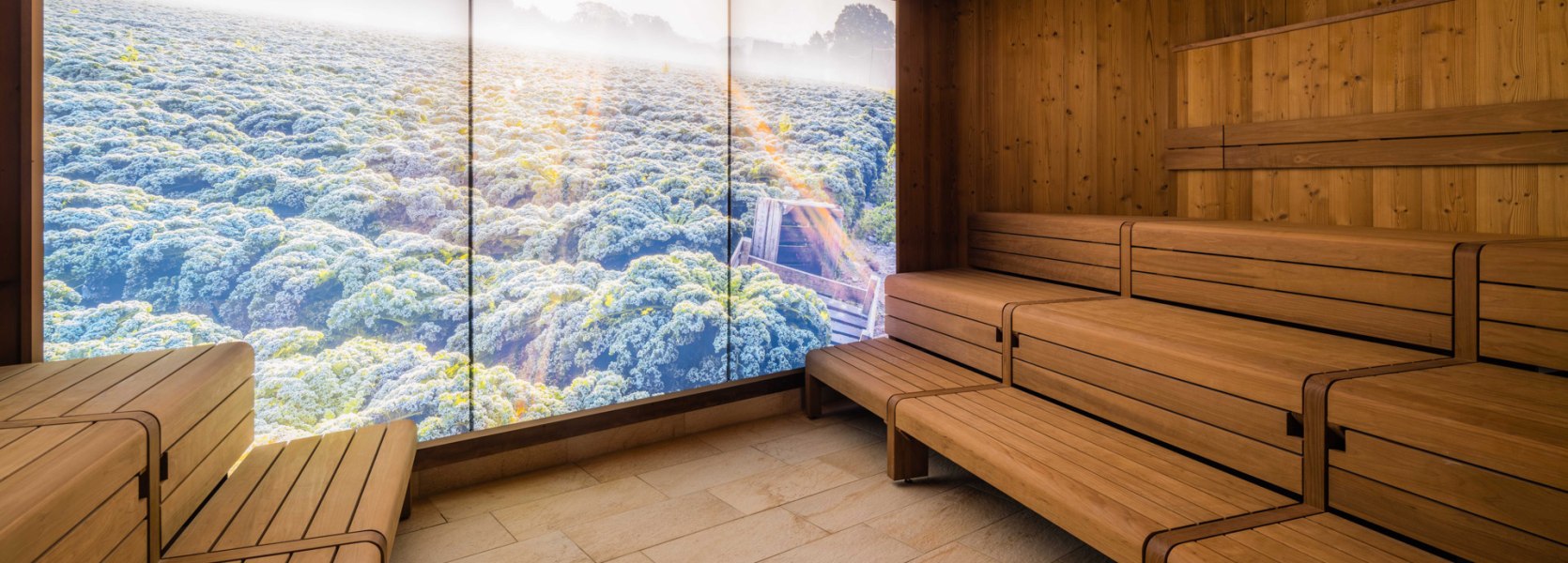 Sauna in Oldenburg mit Panoramabild eines Grünkohlfeldes an der Wand.